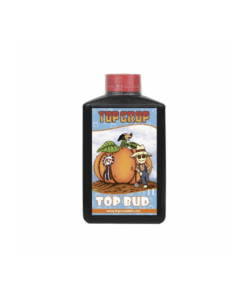 top-bud-1lt-top-crop