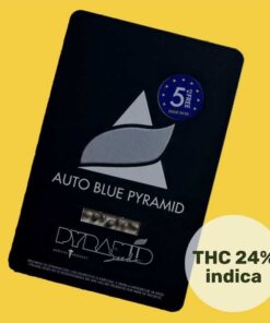 auto-blue-pyramid (1)