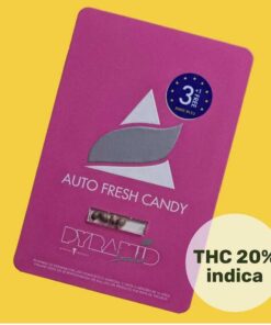 auto-fresh-candy (1)