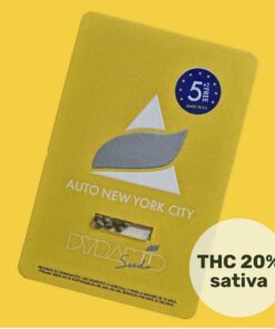 auto-new-york-city