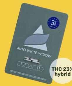 auto-white-widow (1)