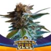 gorilla-glue (1)
