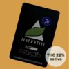 nefertiti (1)