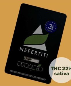 nefertiti (1)