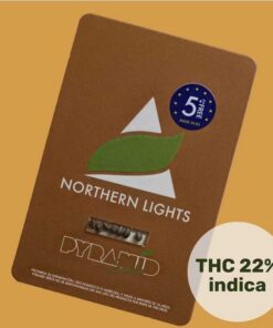 northern-lights