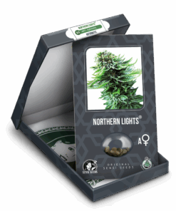 northern-lights-autofloracion-xl-3