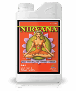 Nirvana