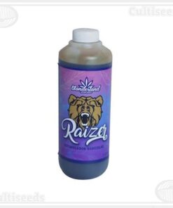 RAIZER