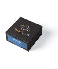 critical-2-0-auto (1)