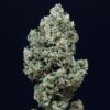 critical-2-0-auto