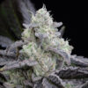 l-a-vanilla-cake