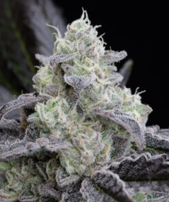 l-a-vanilla-cake
