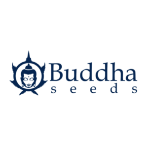 Buddha Seeds