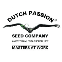 Dutch Passion