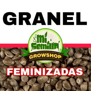 Granel Feminizadas