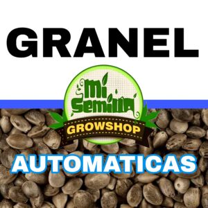 Granel Automaticas
