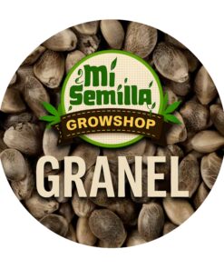 AK-47 Auto x10 - Granel Automaticas