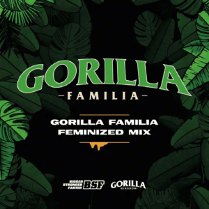 gorilla familia