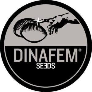 Dinafem
