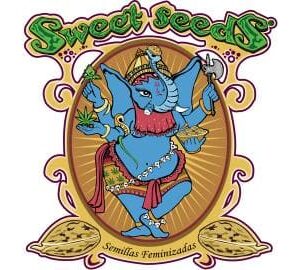 Sweet Seeds