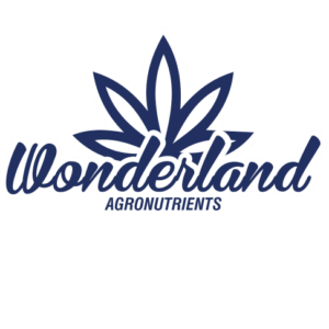 Wonderland