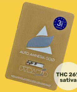 auto-amnesia-gold (1)