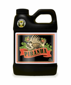 piranha