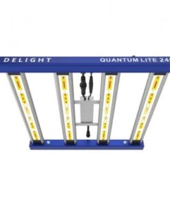 quantum-lite-240w-delight (1)