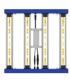 quantum-lite-240w-delight