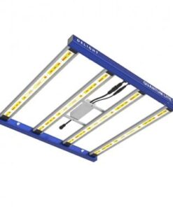 quantum-lite-360w-delight