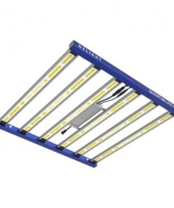 quantum-lite-600w-delight (1)