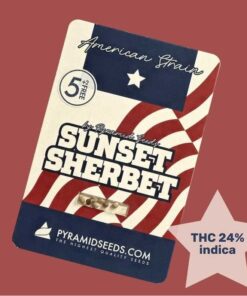 sunset-sherbet
