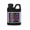 tarantula