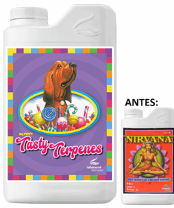tasty terp