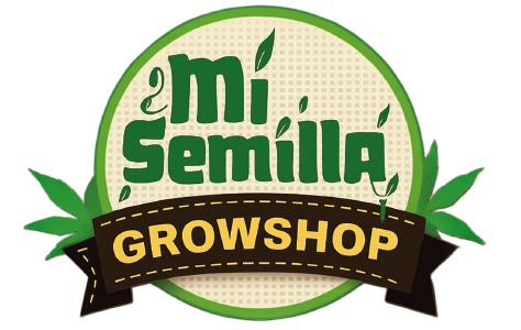 MiSemilla.cl, somos MI Semilla