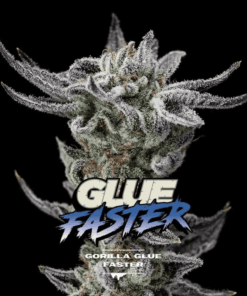 x100 Gorilla Glue Faster -