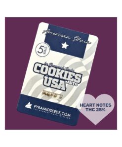 Cookies USA Auto 3+1 - Pyramid Seeds