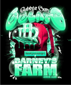 Bubblegum Gelato x3 - Barney's Farm x BackPack Boyz