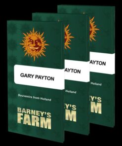 Gary Payton x3 - Barney's Farm