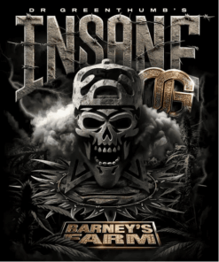 Insane OG x3 - Barney's Farm x Dr. Greenthumb
