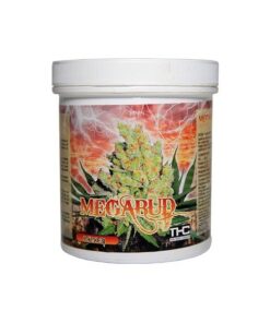 MEGABUD 1 KILO